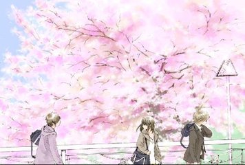 张津瑜不雅事件吃瓜